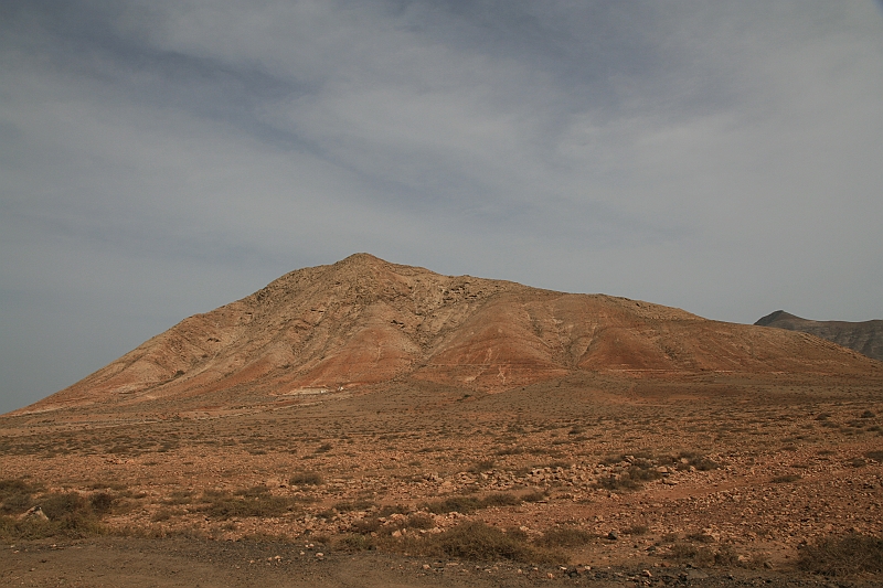 Kanary_2010 202